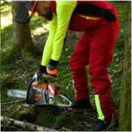 SCHEIBLER – Woodcreek Schnittschutz Basic